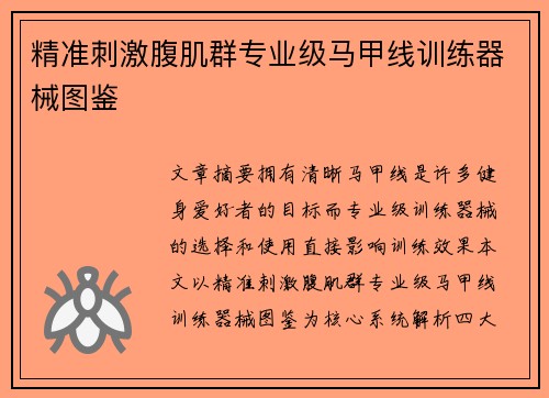 精准刺激腹肌群专业级马甲线训练器械图鉴