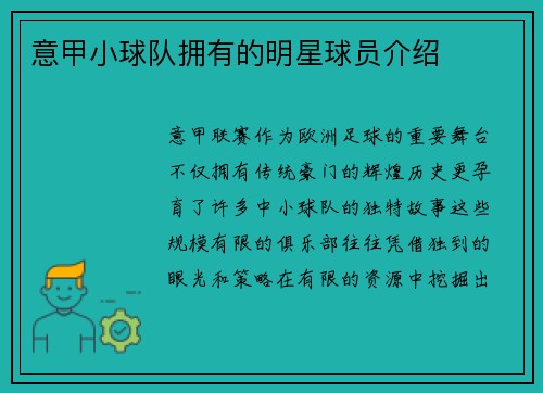 意甲小球队拥有的明星球员介绍