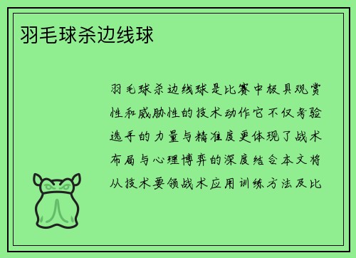 羽毛球杀边线球